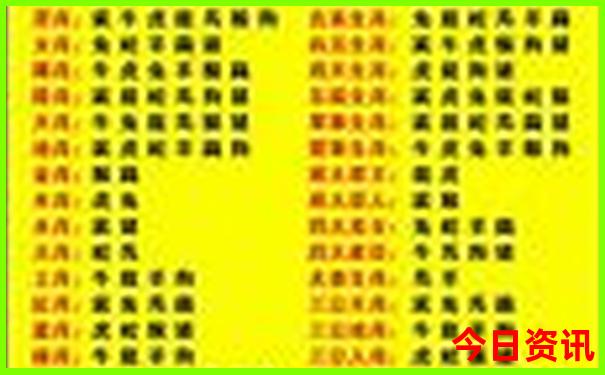 772746cm最新开奖号码